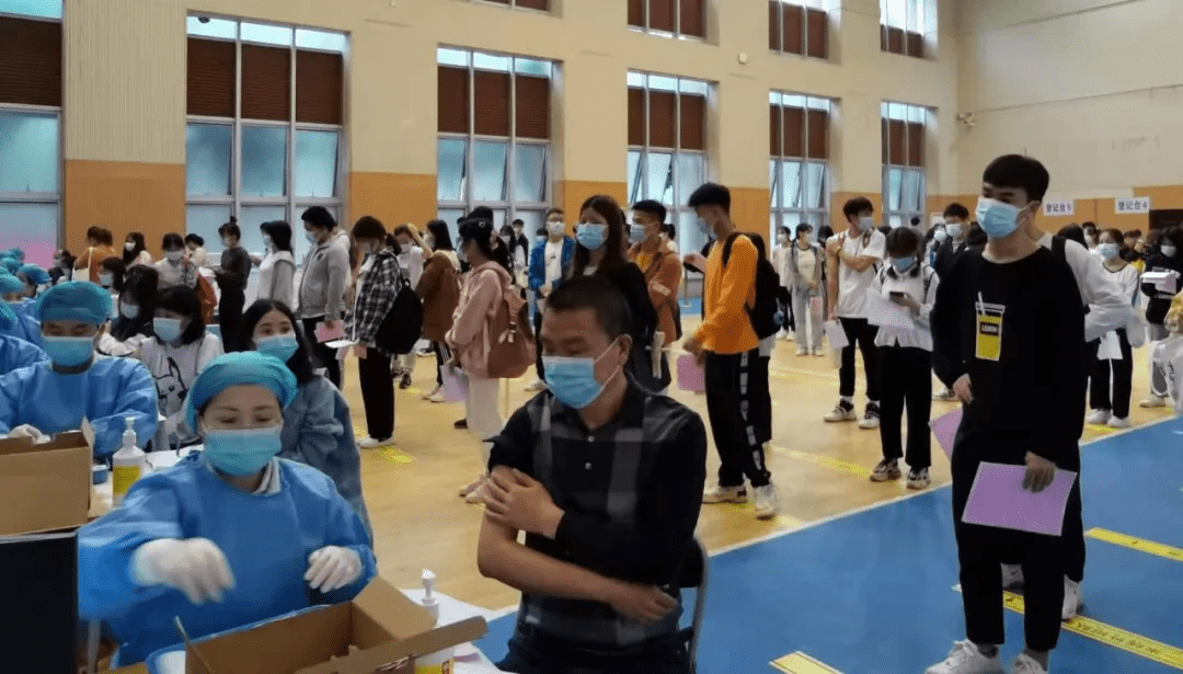 浏阳公安最新动态与步骤指南
