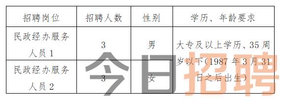 文安县最新招聘信息解析与观点分享