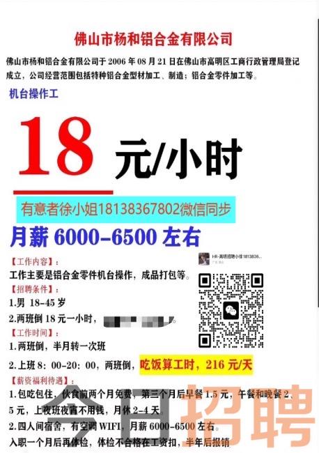 干集网狮山最新招聘信息全面概览