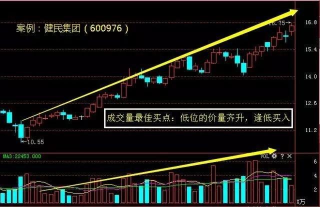 2024香港今晚开特马,2024香港今晚开奖期待进行中_游戏版3.97