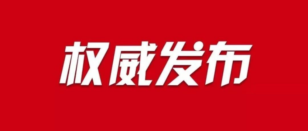 新华龙停盘最新消息深度解析与解读