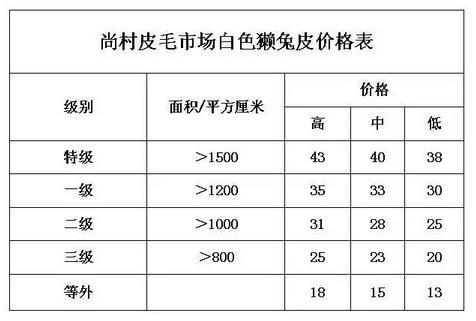 尚村獭兔最新价格及市场动态分析，市场动态与市场趋势深度解读