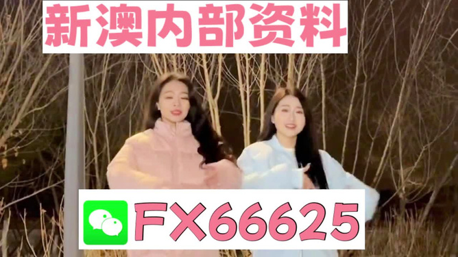 新定义方案剖析：澳门管家婆100%精准：_动态版91.59.93