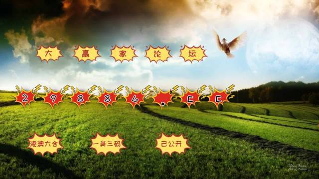 创新性策略设计：4949澳门今晚开奖_iShop63.8.87