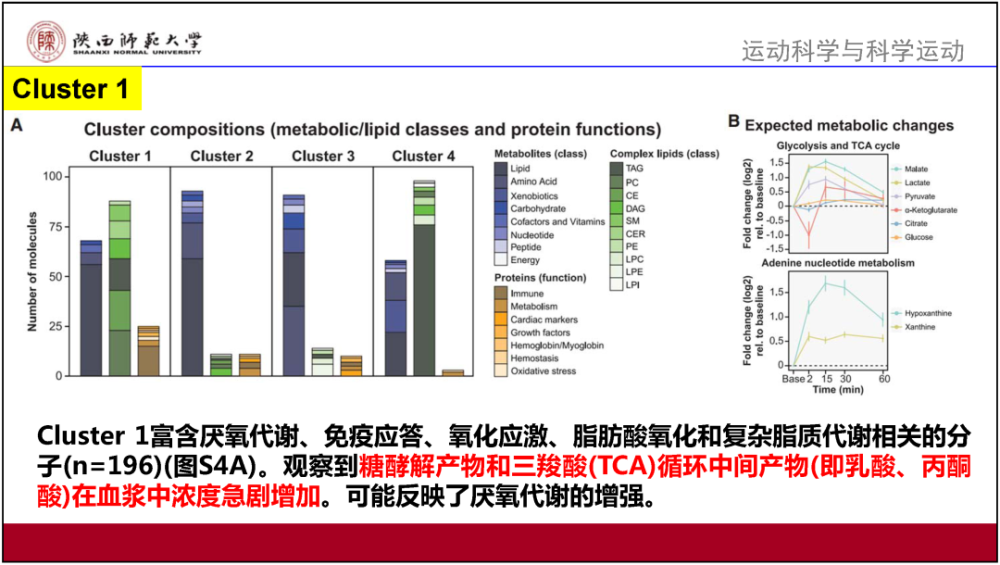 统计研究解释定义：新奥内部免费资料_GM版53.4.39