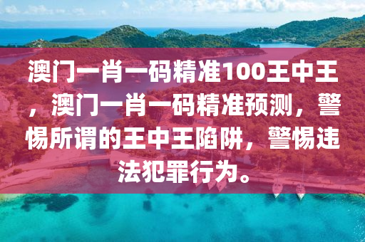 2022澳门精准一肖100准,证明解答解释落实_手游版12.646