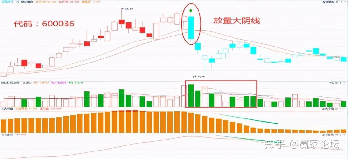 最准的投资秘籍解析轻松掌握市场趋势_V版10.061