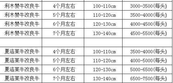 最新牛犊价格动态分析与趋势预测