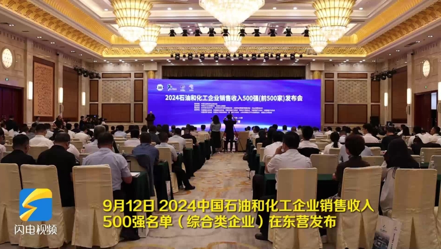 2024香港历史开奖记录65期揭示赢家秘笈指南_全新解密85.426