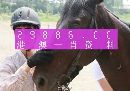 澳门一肖一码一必中一肖，绝对经典解释落实_网页版91.95.72