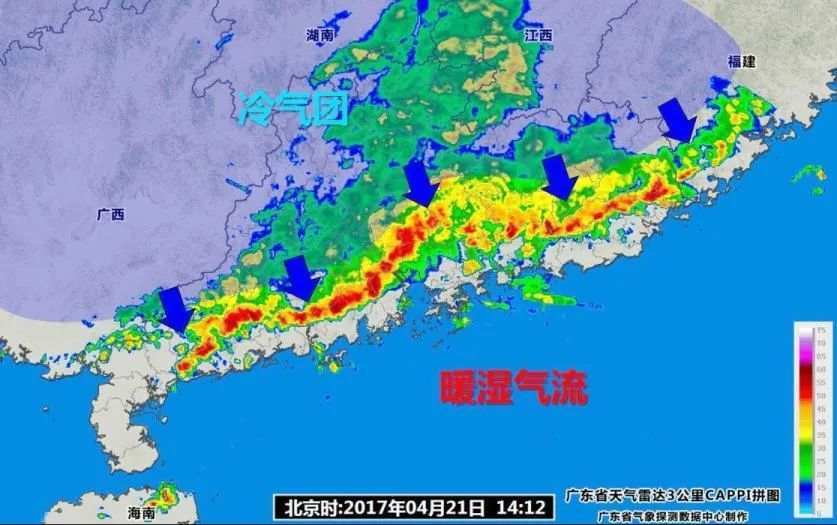 澳门正版资料免费大全新闻，动态词语解释落实_The53.21.1