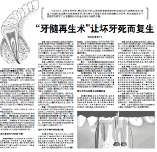 美国再生牙齿最新进展与步骤指南