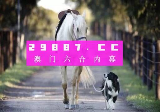 新澳门4949正版大全,用户体验解析落实_实验制6.985