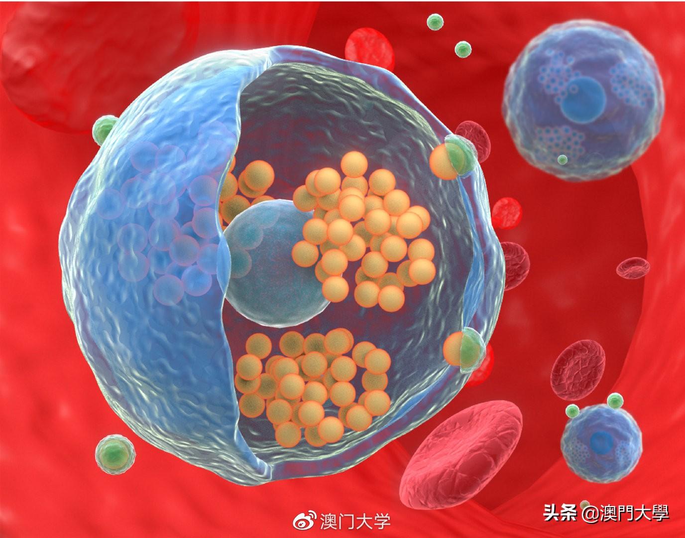 2024年澳门今晚开奖_一揽子增量政策“靶向发力”,数据整合实施_RX版96.73.91