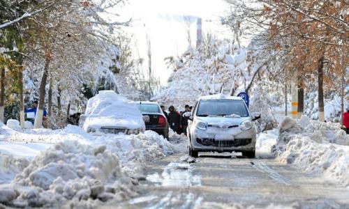 2024年新澳门特免费资料大全_注意保暖！漠河最大积雪深度19厘米,综合计划定义评估_mShop36.28.77