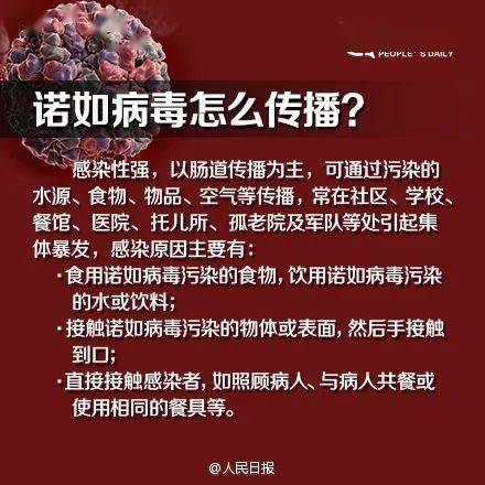 2024新澳最精准资料大全_诺如病毒正处在感染高发季,时代解析说明_尊享款73.93.23