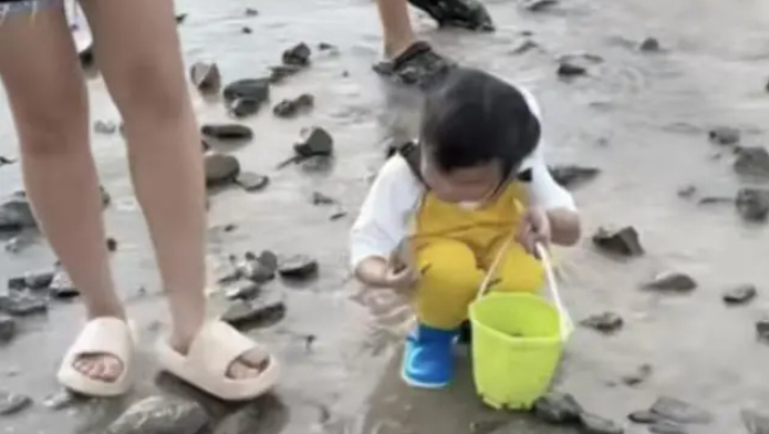 今晚澳门管家婆一肖一码_爸爸回应海滩撒花蛤让女儿捡,全面应用分析数据_iShop51.83.13