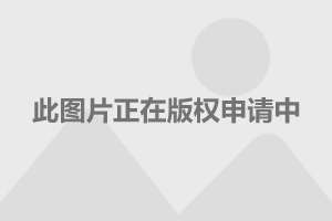 香港特马王资料内部公开_双胞胎宝妈怀上三胞胎：压力很大,实效设计策略_影像版64.92.55