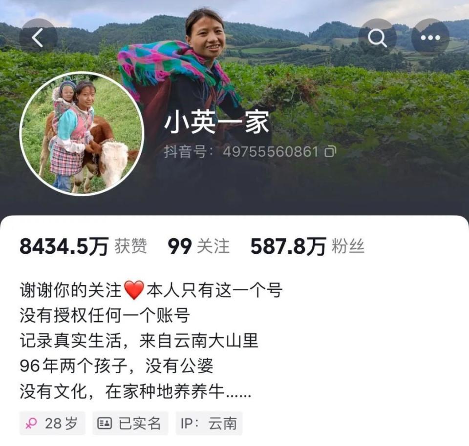 澳门正版资料全年免费公开精准_网红小英送养女孩为什不构成行业,实地验证分析策略_微型版91.54.62