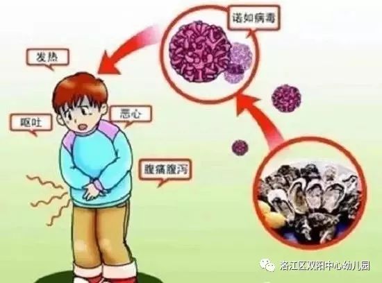 新澳门直播现场开奖直播视下大全_诺如病毒正处在感染高发季,实地验证方案策略_R版38.52.94