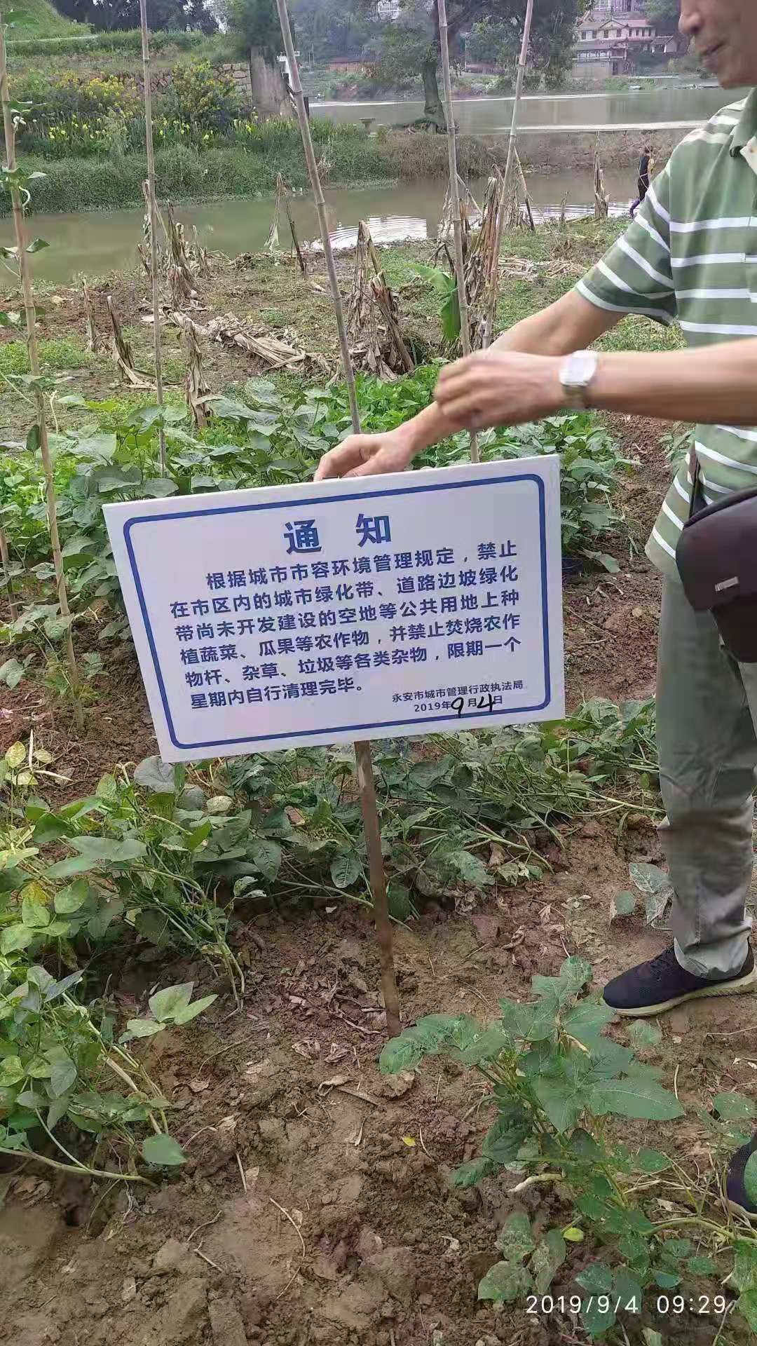 一组三中三永不改料630集团_菜地被插牌禁止栽种 街道办回应,实时解答解释定义_安卓款63.49.32