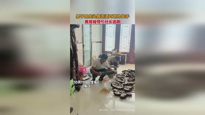 虎头蜂泡酒失误引发惊险一幕，两男子迅速逃离现场