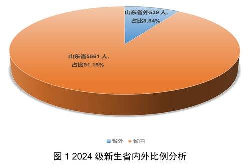 2024新奥门资料大全正版资料,拓展式解释落实方法_HD63.582