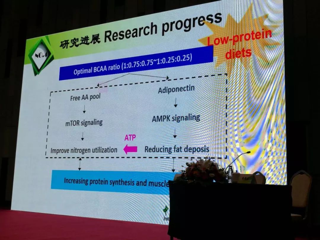 看香港正版精准特马资料,直观解答解释落实_环境版59.729