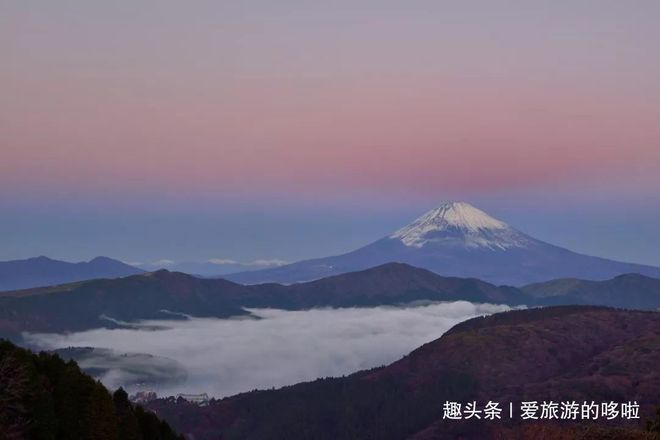 亲嘴烧日本遭遇召回风波，自然美景呼唤下的遗憾之旅