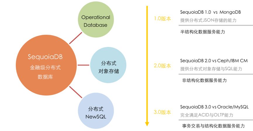 金鸡独立 第24页