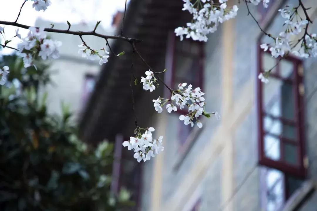 媒体热议高校一校门到饭点即关闭现象，探讨校园管理与学生需求的平衡之道