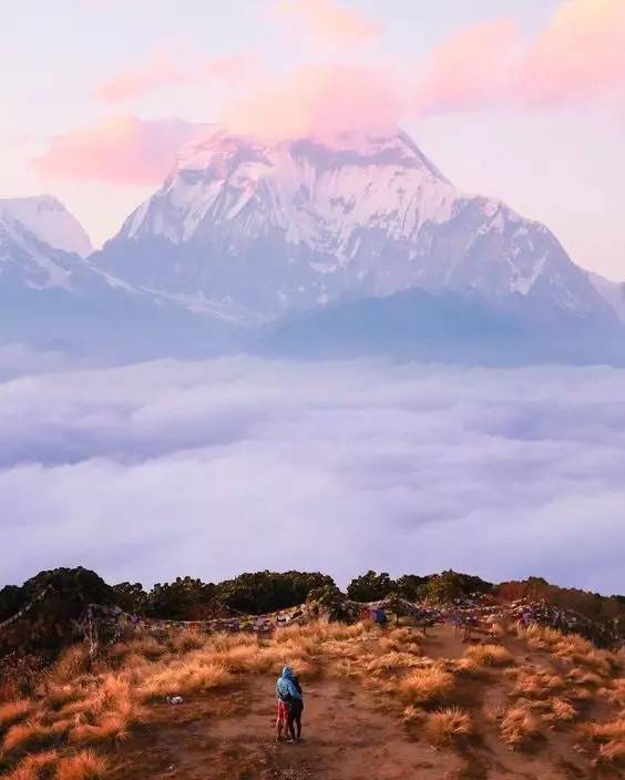 网红云南阿奎离世，自然美景中的心灵之旅与内心平和宁静的追寻