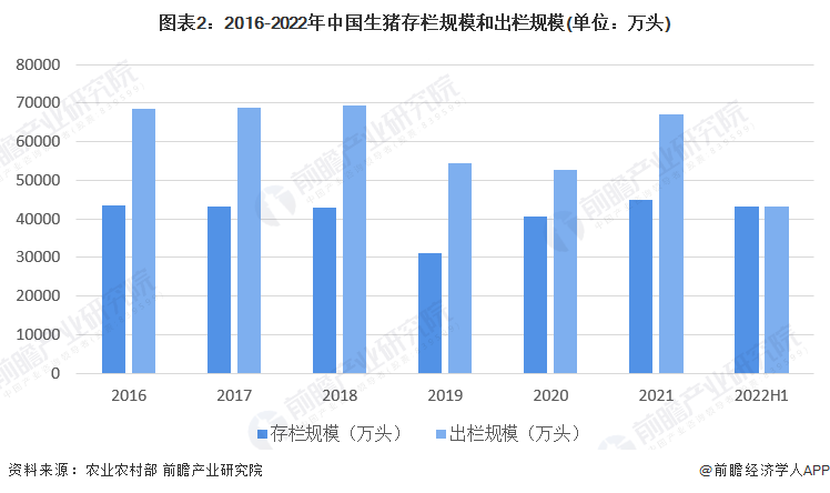 新澳门最快开奖现场,高效方案解答实施_W30.299