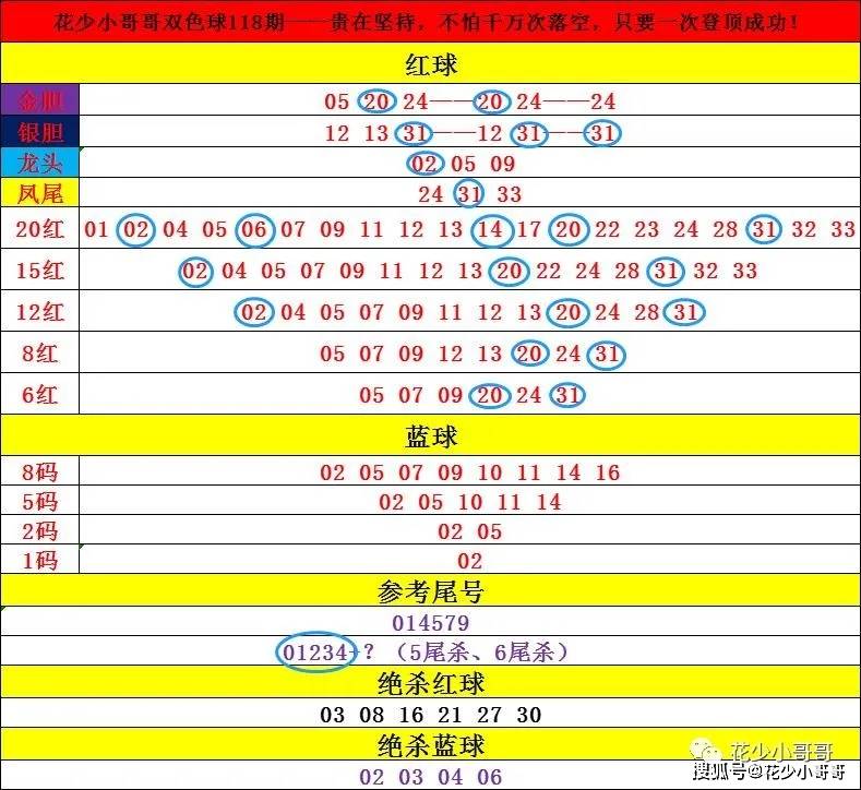 2024正版资料大全好彩网,快速响应设计解析_GW57.894