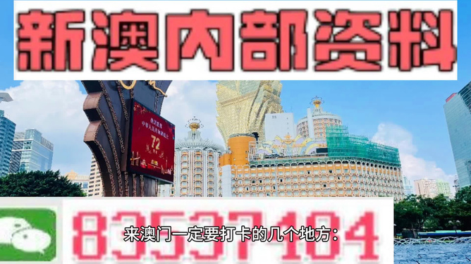 澳门正版免费攻略大全，安全解读策略_CLT621.86挑战版