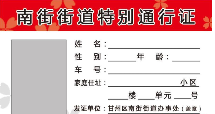 澳门一码一肖精准度揭秘：安全策略与版ESN642.55解析