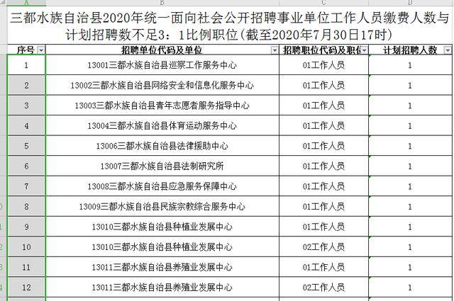 2024澳门天天开好彩大全开奖记录全面解析策略与技巧_终极指南2024