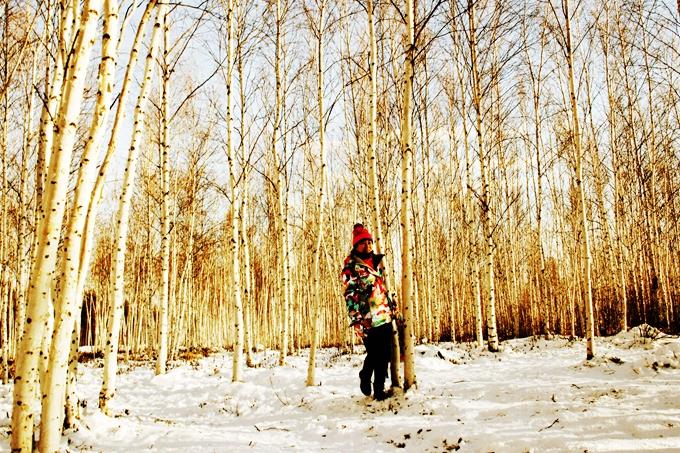 中国最北城市漠河降雪，冰雪之旅体验指南