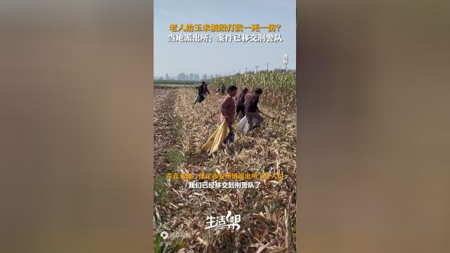 老人拾玉米被打致死事件