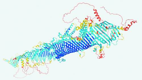 香港最精确100%肖一肖预测，数据综合解析_学习版版块NUV969.21