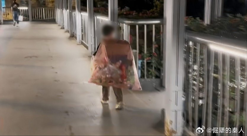 拾荒现象关注焦点