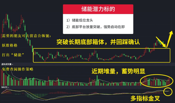 澳彩资料免费长期公开,科学基本定义_KSU431.93科技版