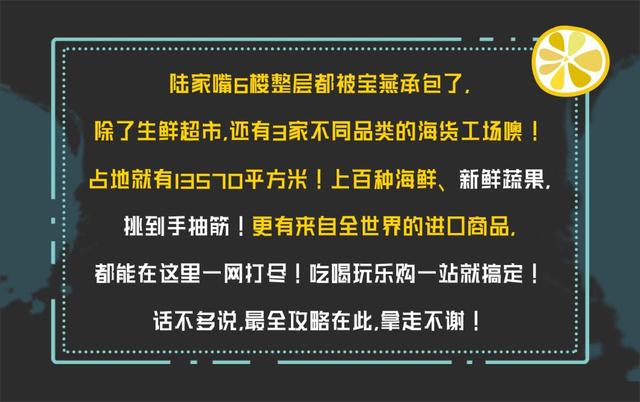 无极县最新招聘信息网，小巷深处的职业机会宝藏