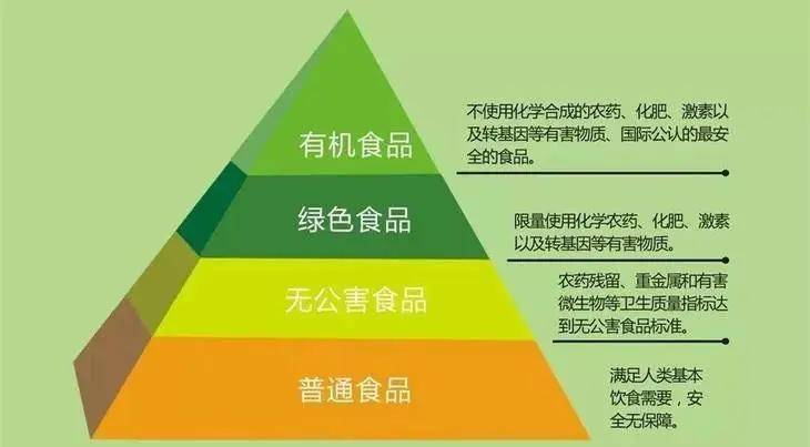 2024新澳免费资料内部玄机,安全解析策略_恒星级KTJ99.36