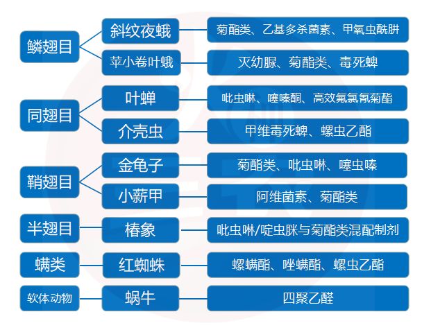 2024澳门跑狗图正版高清汇总，资源部署策略_RC候选版IVH741.73