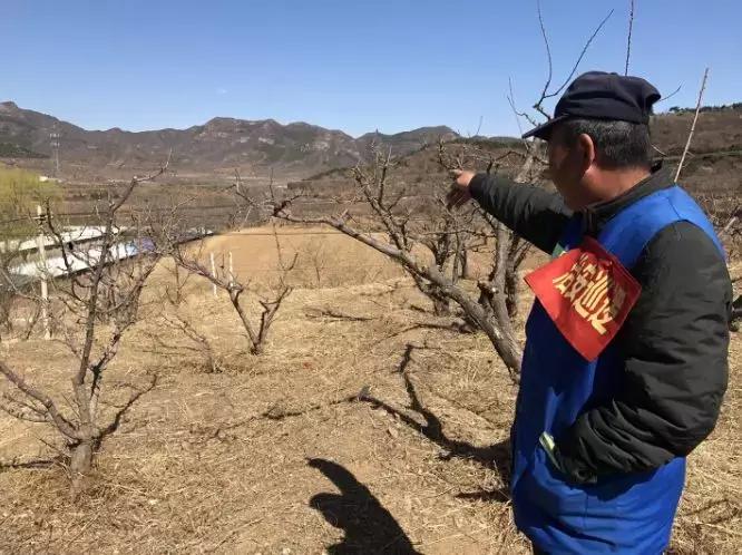 火灾最新动态及应对步骤指南，火灾事件应对策略详解