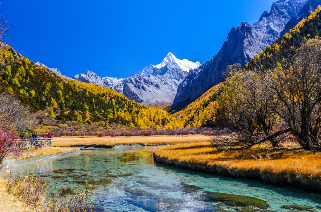 最新色图，自然美景的轻松旅行之旅