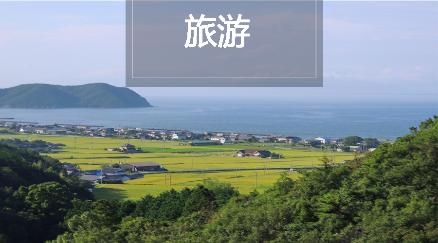 胜利股份最新动态，自然美景的探索之旅