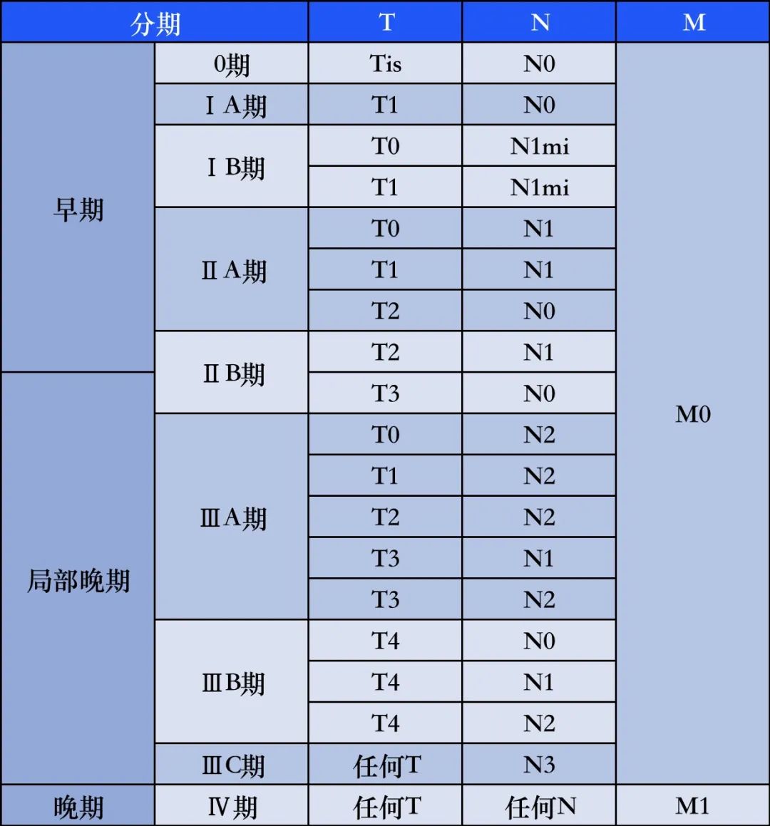 最新TNM分期标准详解与小巷深处的特色小店探秘