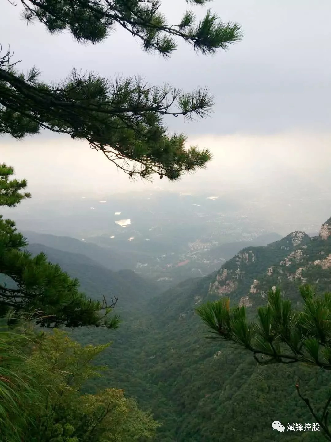 青松建化探索之旅，最新消息与内心平和宁静的追寻